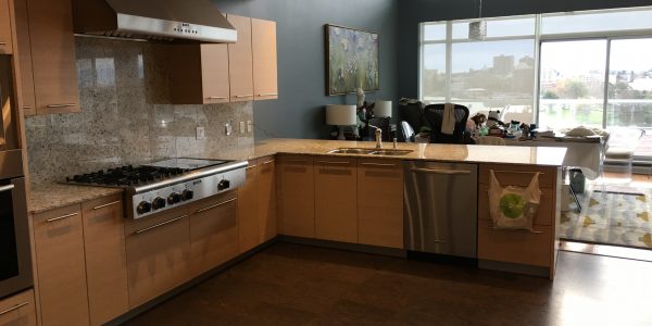 Songhees Kitchen Victoria Renovation - Before
